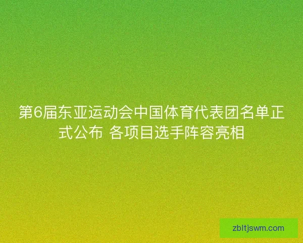 第6届东亚运动会中国体育代表团名单正式公布 各项目选手阵容亮相