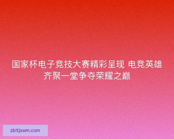国家杯电子竞技大赛精彩呈现 电竞英雄齐聚一堂争夺荣耀之巅